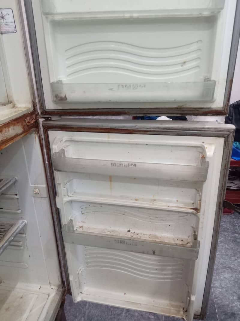 full refrigerator 3