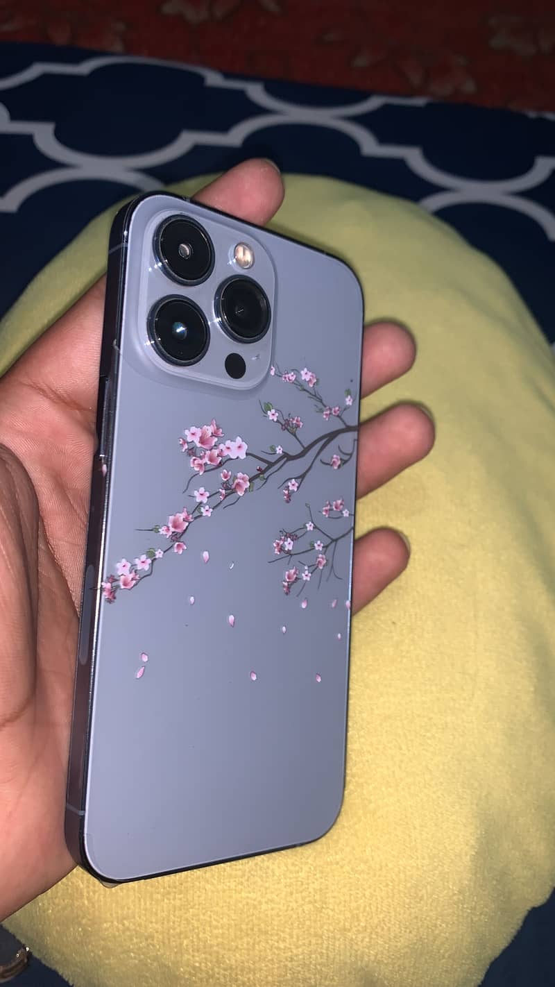 13 pro 0
