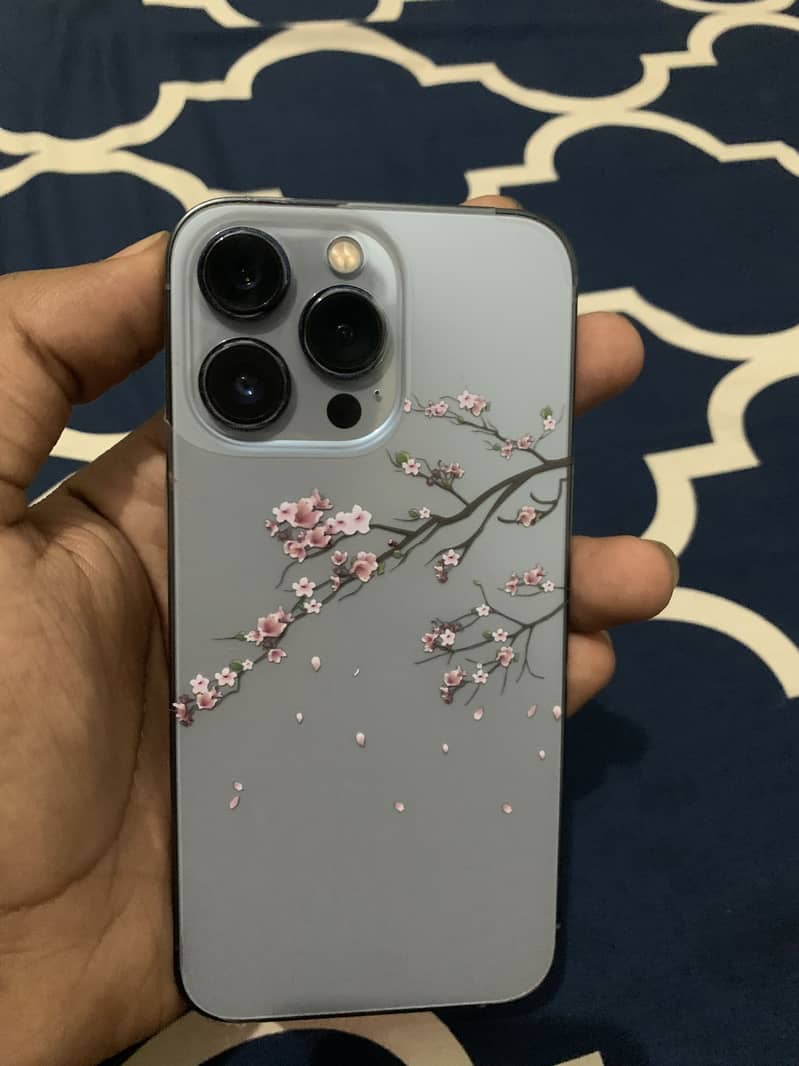 13 pro 1