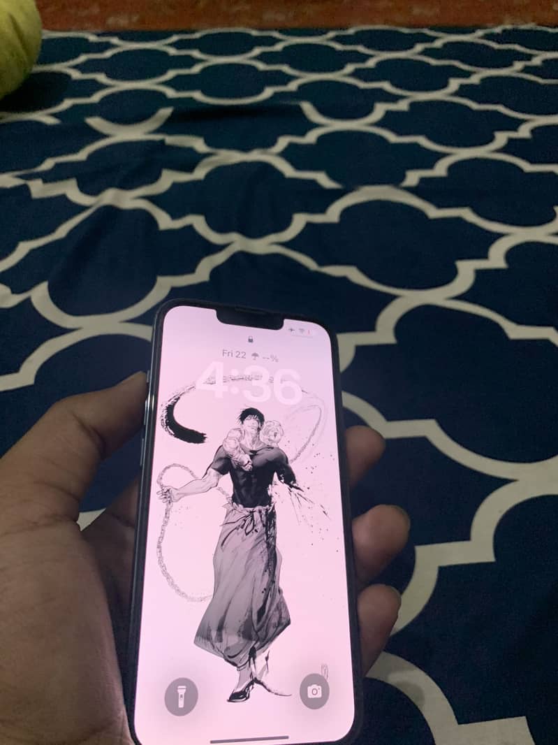 13 pro 3