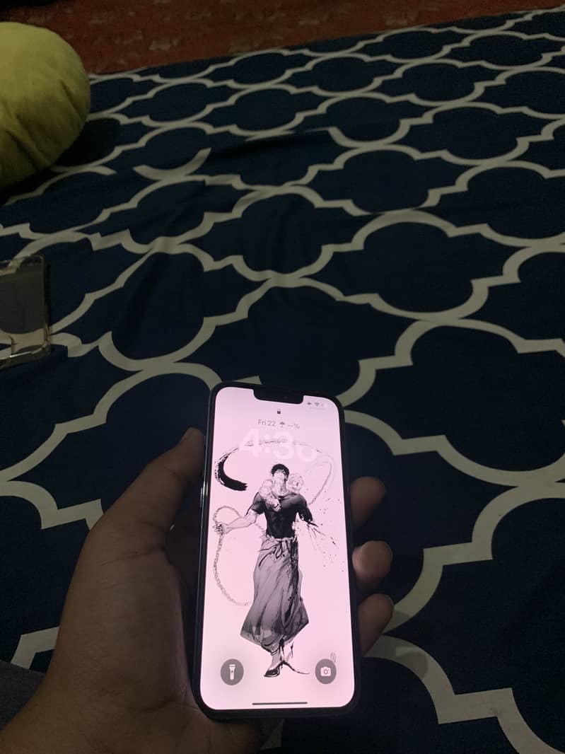 13 pro 6