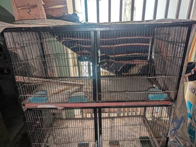 8 portion cage