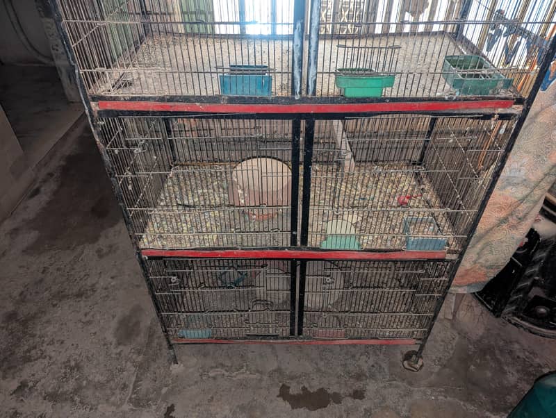 8 portion cage 1