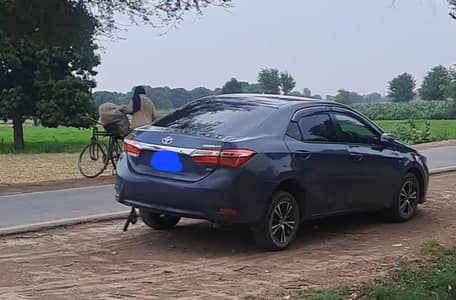 Carolla GLi
