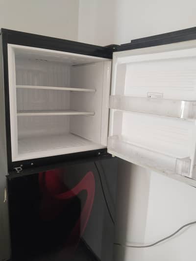 PEL Glass Door medium Fridge
