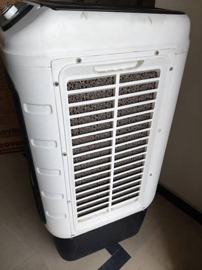 Beat the heat with Royal Fan Coller