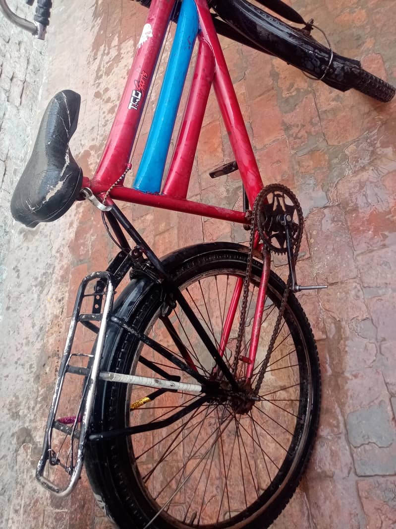Double frame bicycle 0