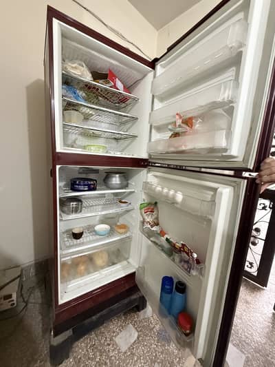 PEL refrigerator