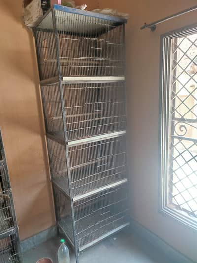 Love birds cage for sale size 2x1.5 feet 3 portion price 10,000