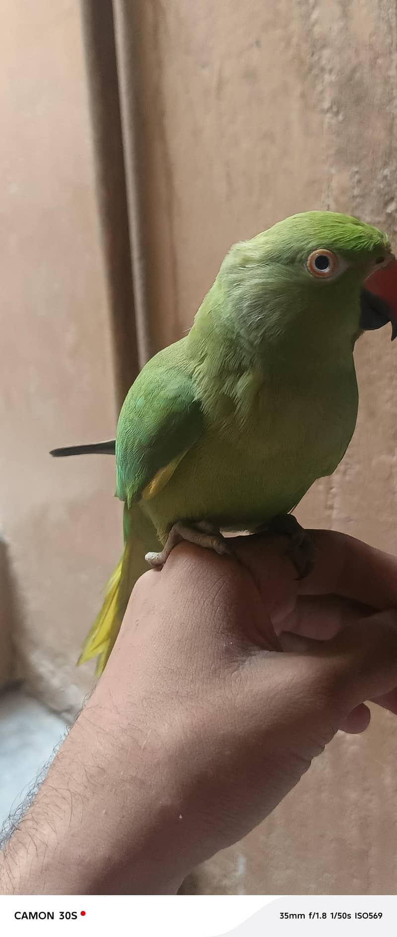 taking and friendly 0