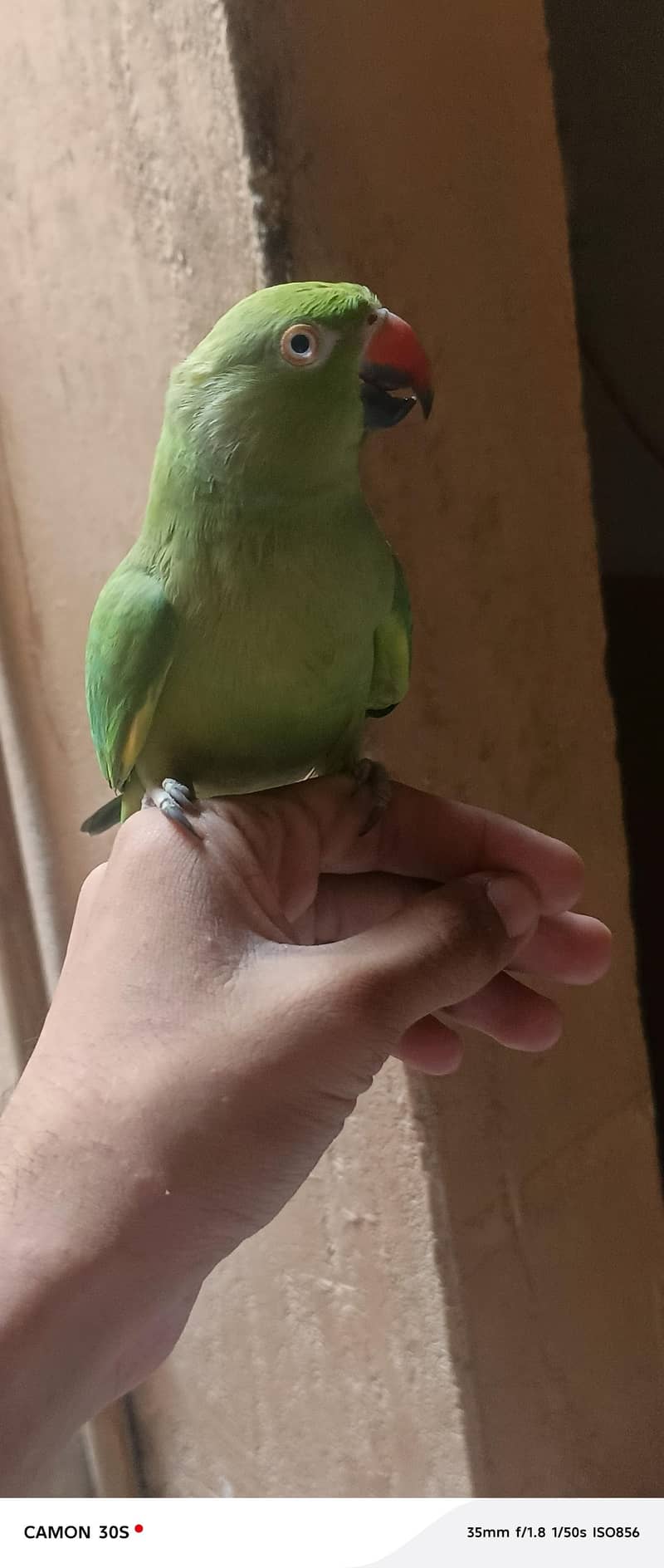 taking and friendly 2