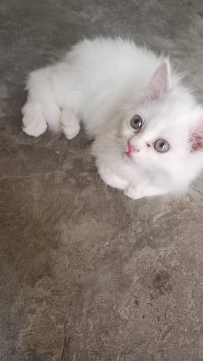 if you interested than call me  thank you 