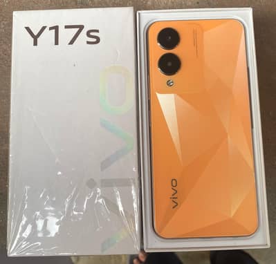 VIVO Y17S (128 GB MEMORY)