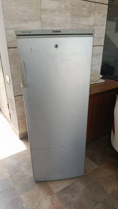 STANDING DEEP FREEZER