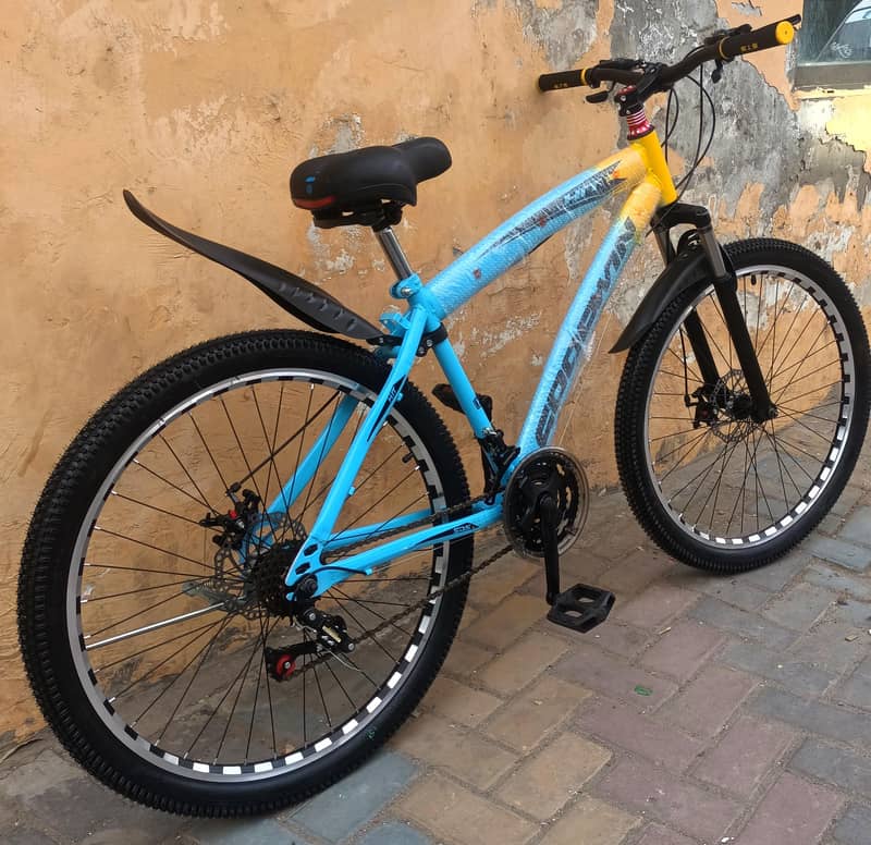 bicycle Goodwin 2