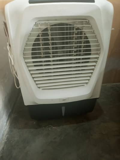 royal room cooler