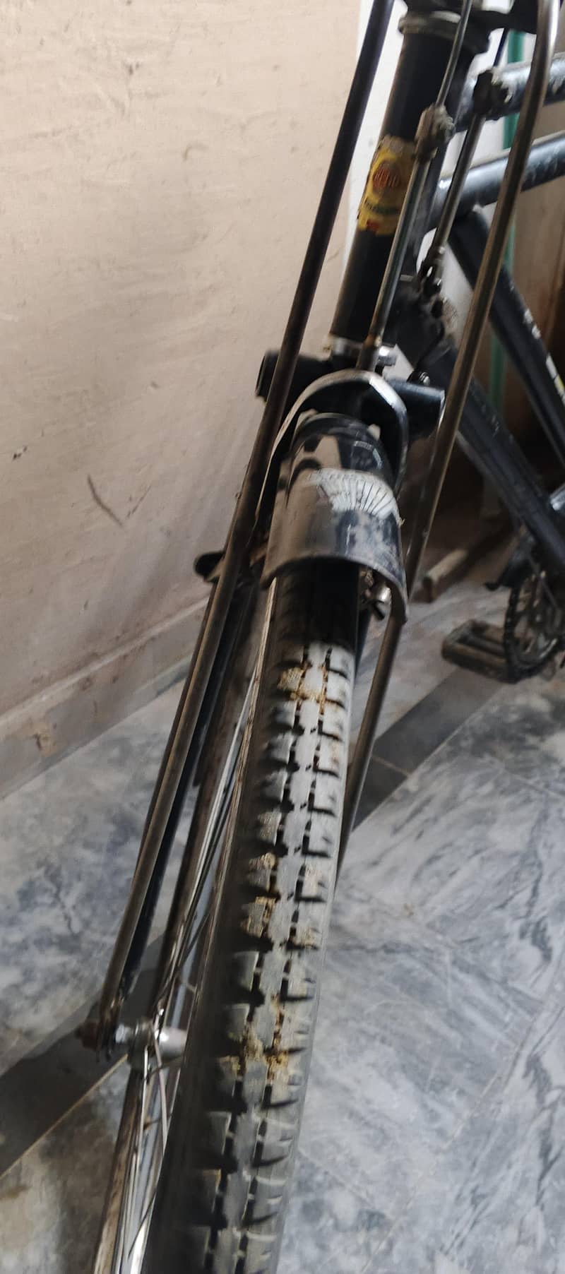baba cycle 1