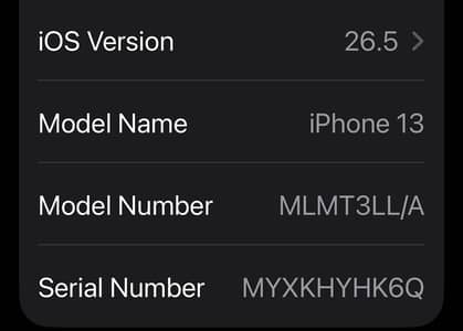 iPhone 13