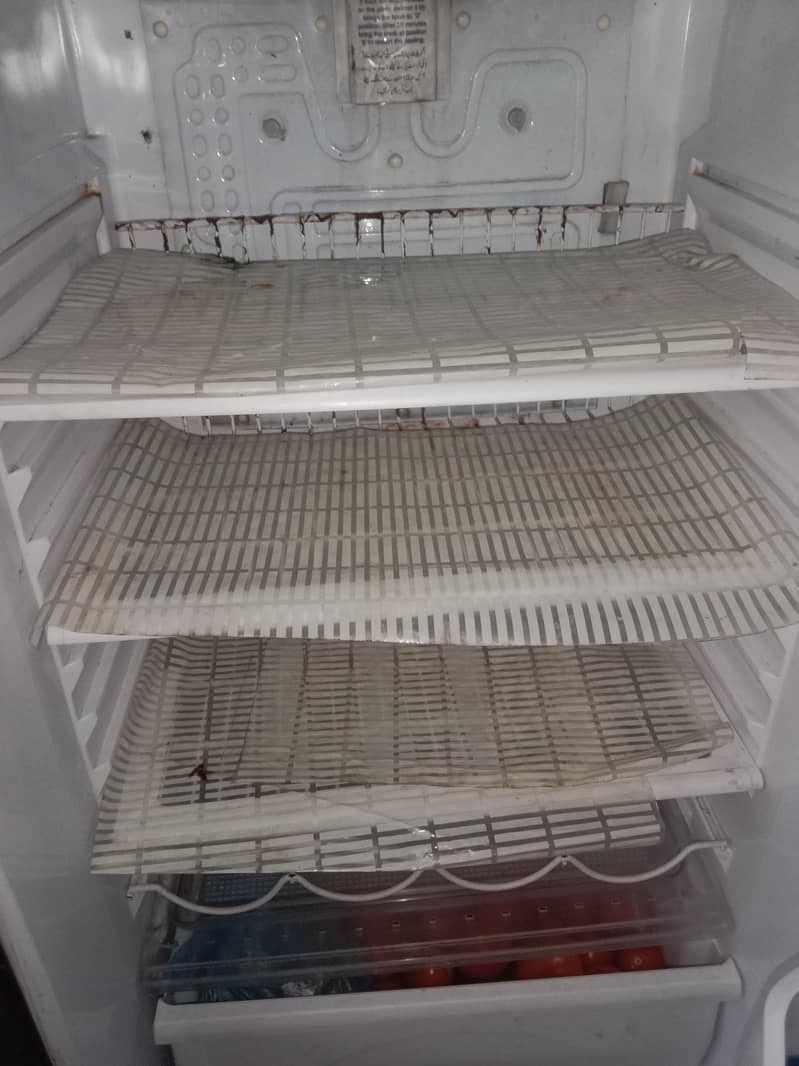 fridge 2