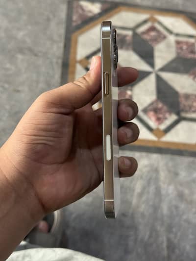 iPhone 13 Pro Max pta approved