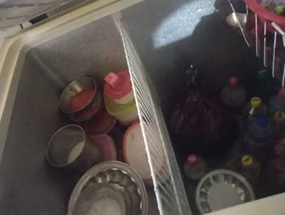 waves freezer saling