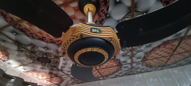 GFC ceiling Fan