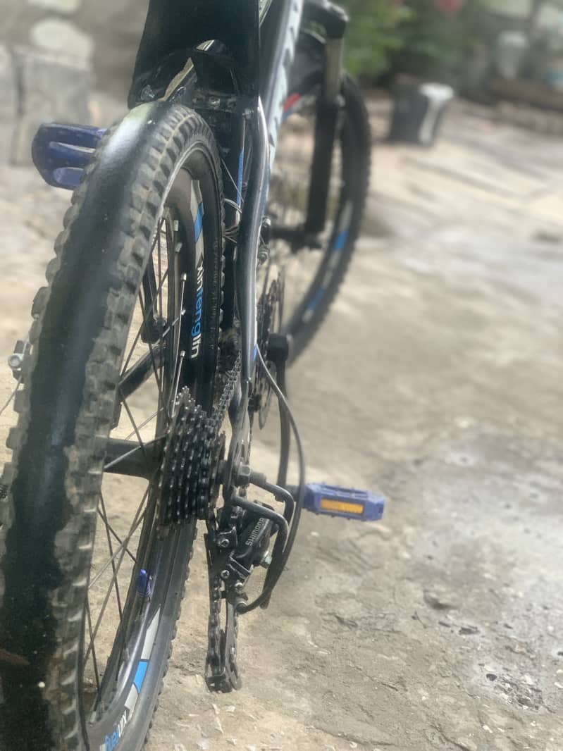 Bycycle 7