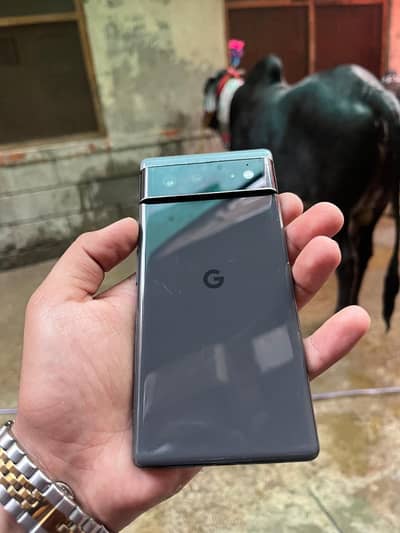 Google Pixel 6 official PTA Approved