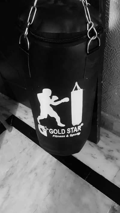 punching bag with gloves in new 10/10 condition