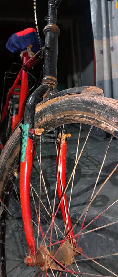 Gares And Willing Bicycle
