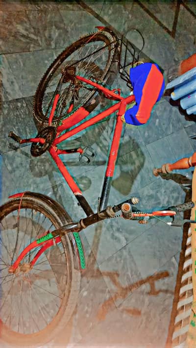 Gares And Willing Bicycle