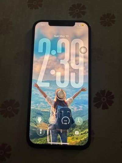 Iphone 12 pro max PTA Approved