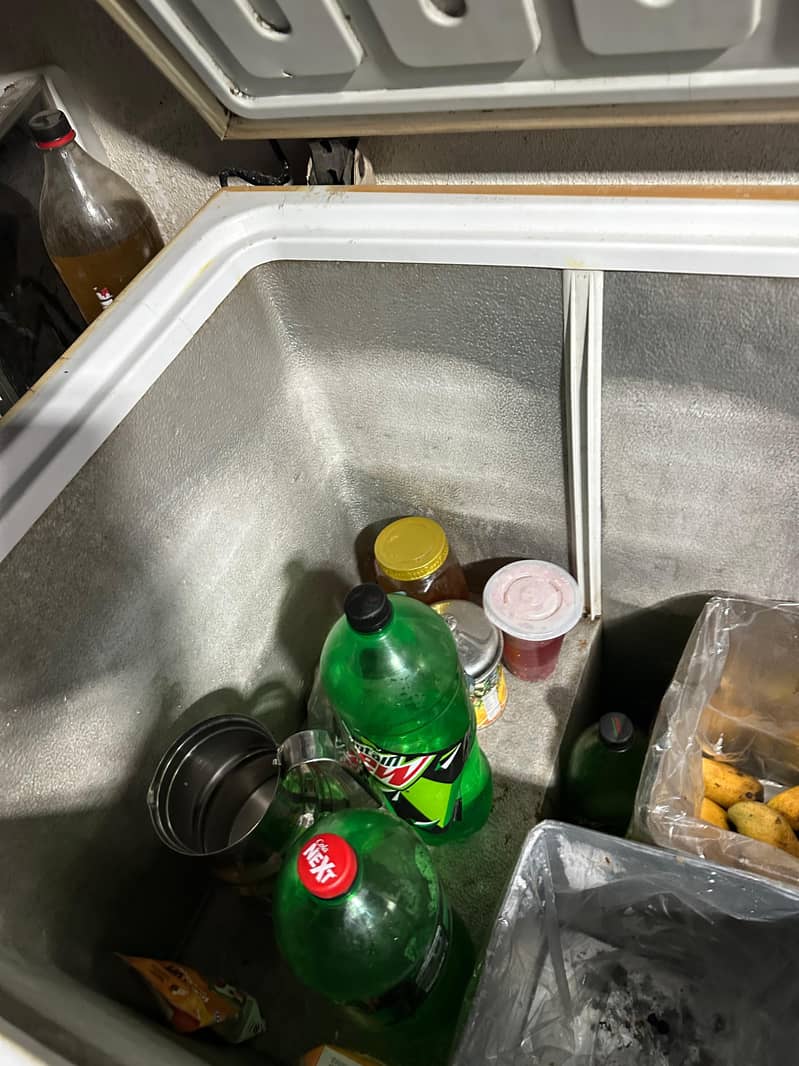 freezer 1