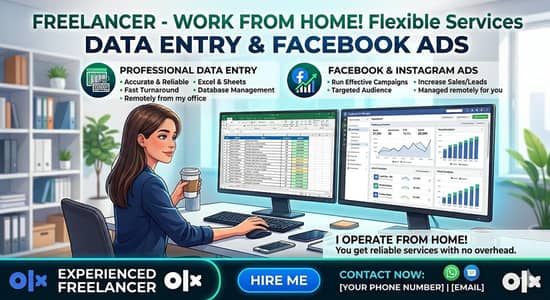 Professional Data Entry & Facebook Ads Specialist (Work From Home)