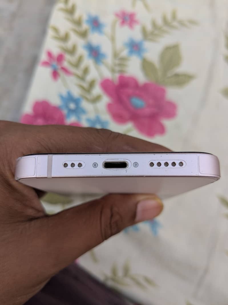 Apple 2
