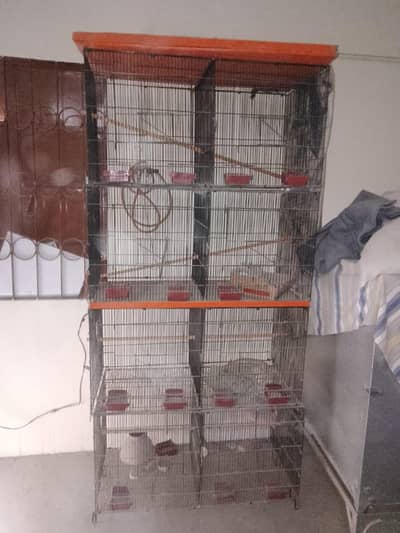 birds cage