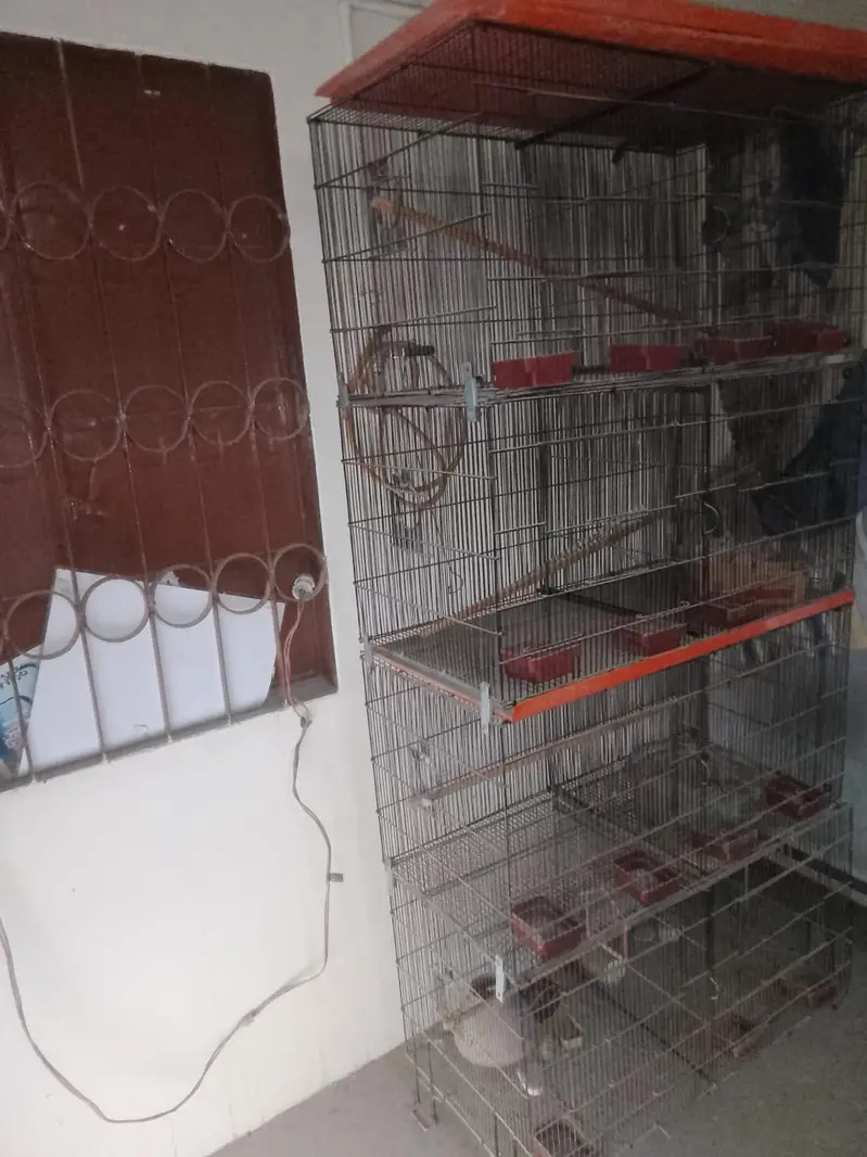 birds cage — photo 3