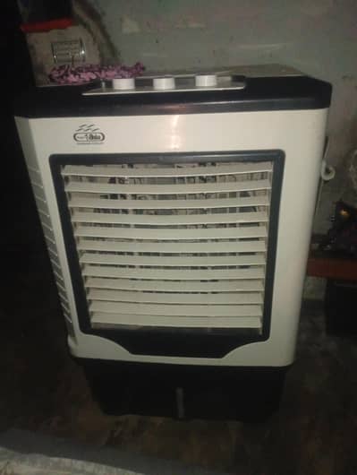6 month use Kiya hai