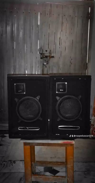 6" Speakers 