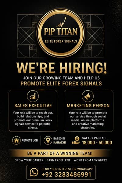 Sales Executive Remote Job - Online Job