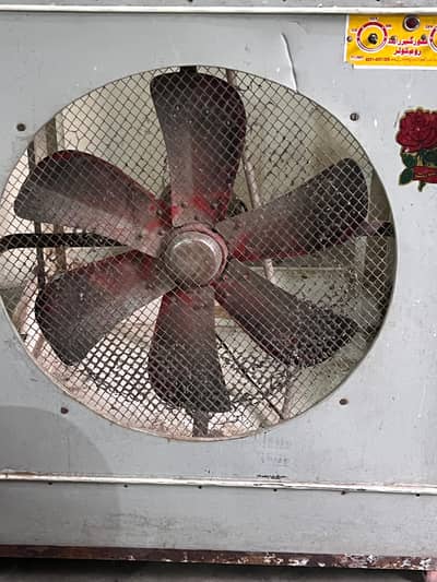 lohari cooler for sale