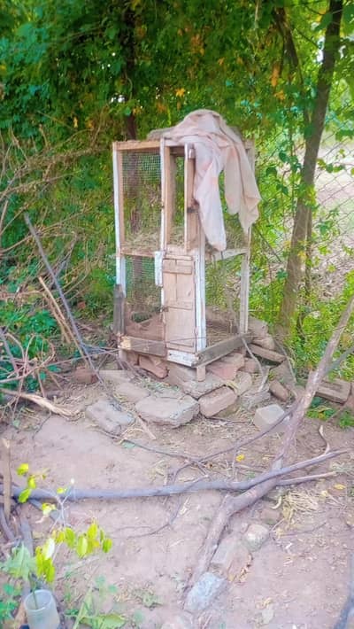 double portion cage for sale