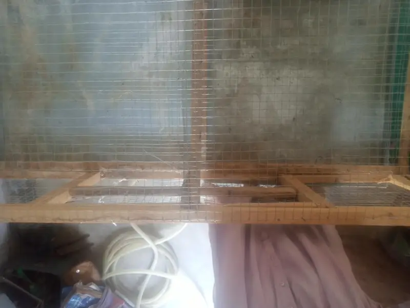 Wooden cage — photo 2