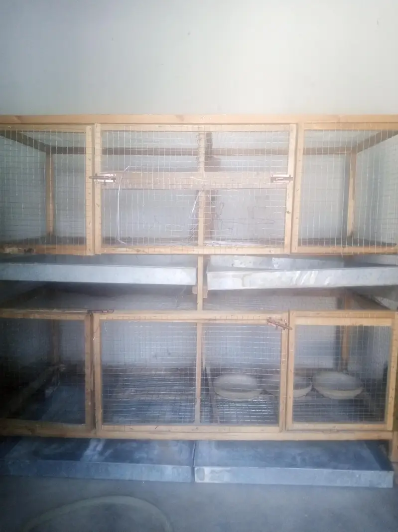 Wooden cage — photo 4