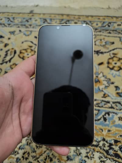 Iphone 13 Pro 256gb