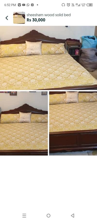 mazboot paedaar bed