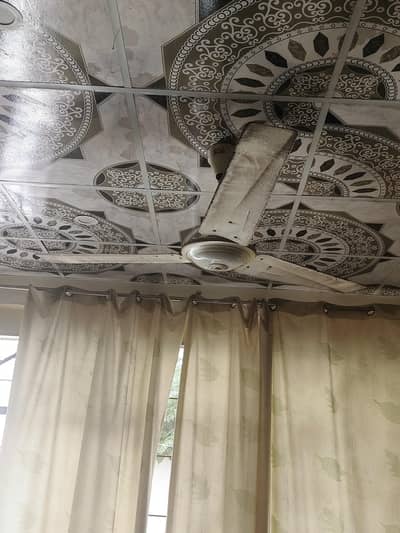 celling fan
