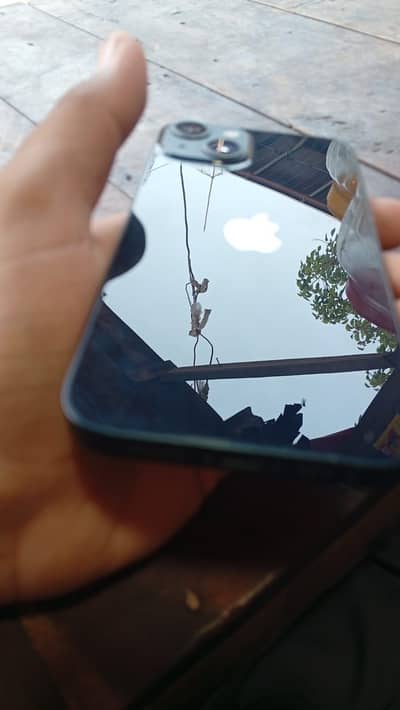 iPhone 13 Non PTA Jv