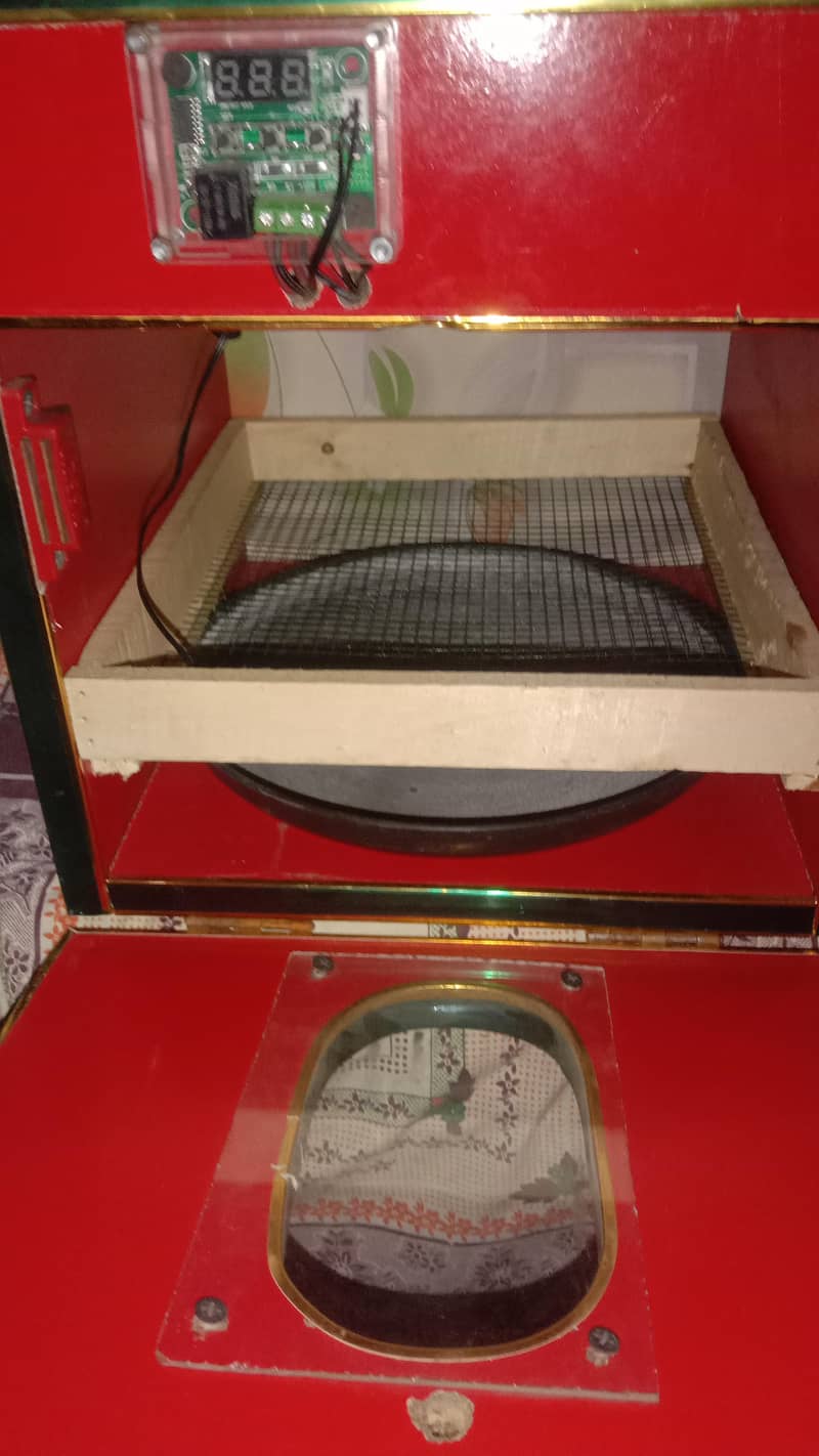 Incubator 2