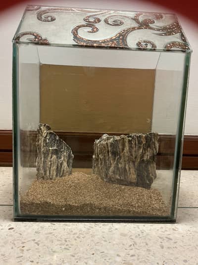 Brand new fish tank, fully decorated.